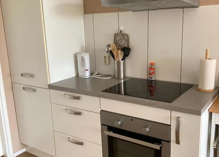 Vakantiehuis Tulpenzicht *